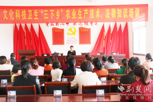 微信圖片_20211209183256_副本.png.png