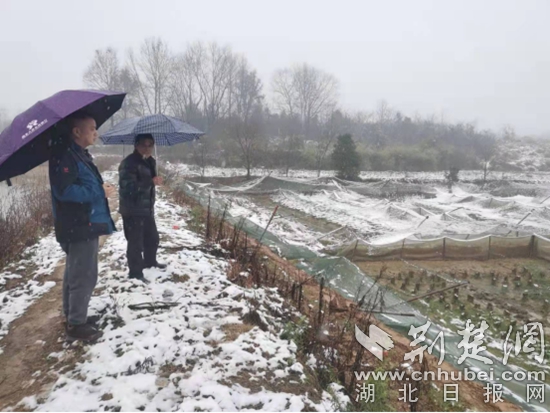 市發(fā)改局駐陳貴鎮(zhèn)上羅村工作隊檢查農業(yè)防寒防凍工作.jpg