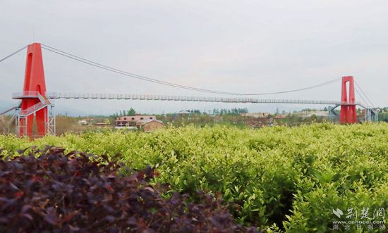 邢繡生態(tài)園玻璃天橋.jpg