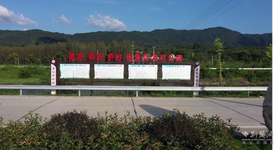 圖片5.jpg