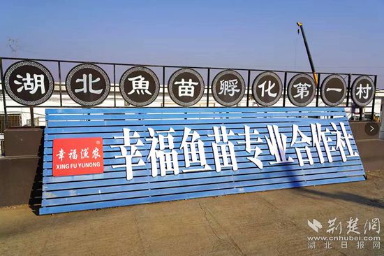 6、湖北魚(yú)苗第一村_副本.jpg