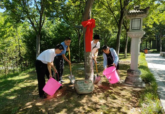 葉家樂一家給櫸樹松土、澆水_副本.jpg