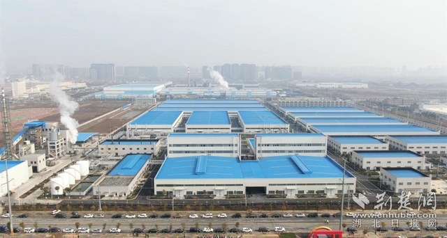 園區(qū)企業(yè)。記者 魯偉龍 攝.webp.jpg
