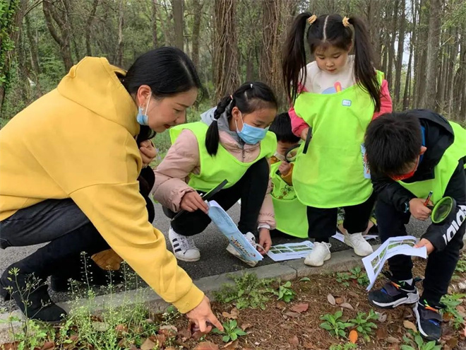 認(rèn)識植物.jpg