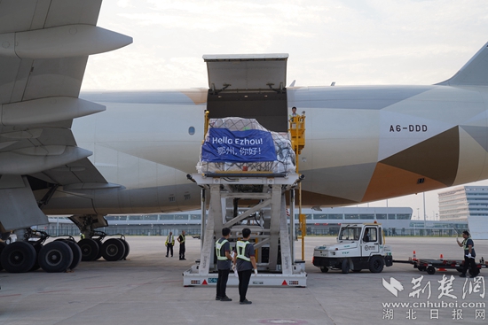 機務(wù)人員卸下貨物。金康 攝.jpeg