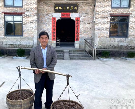 何道關(guān)與自己種的油茶果。黃錚 攝_副本.jpg.jpg