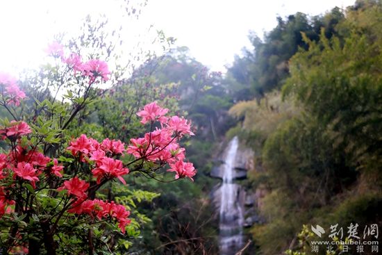 黃龍山頂，風景如畫 黃錚 攝_副本.jpg.jpg