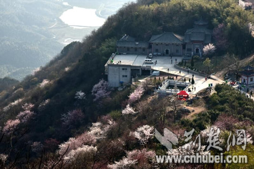 QQ圖片20180315111342.jpg QQ圖片20180315111342.jpg